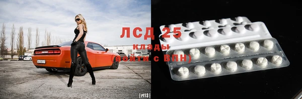 амф Горняк