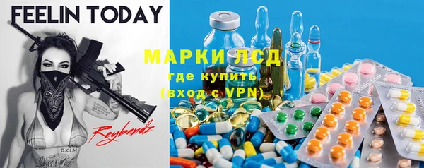 амф Горняк