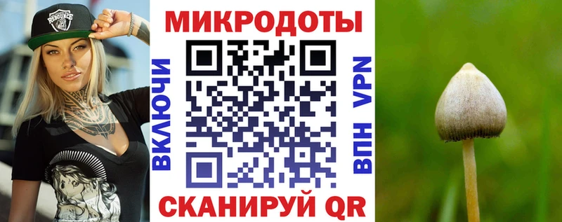Галлюциногенные грибы мухоморы  Юхнов 